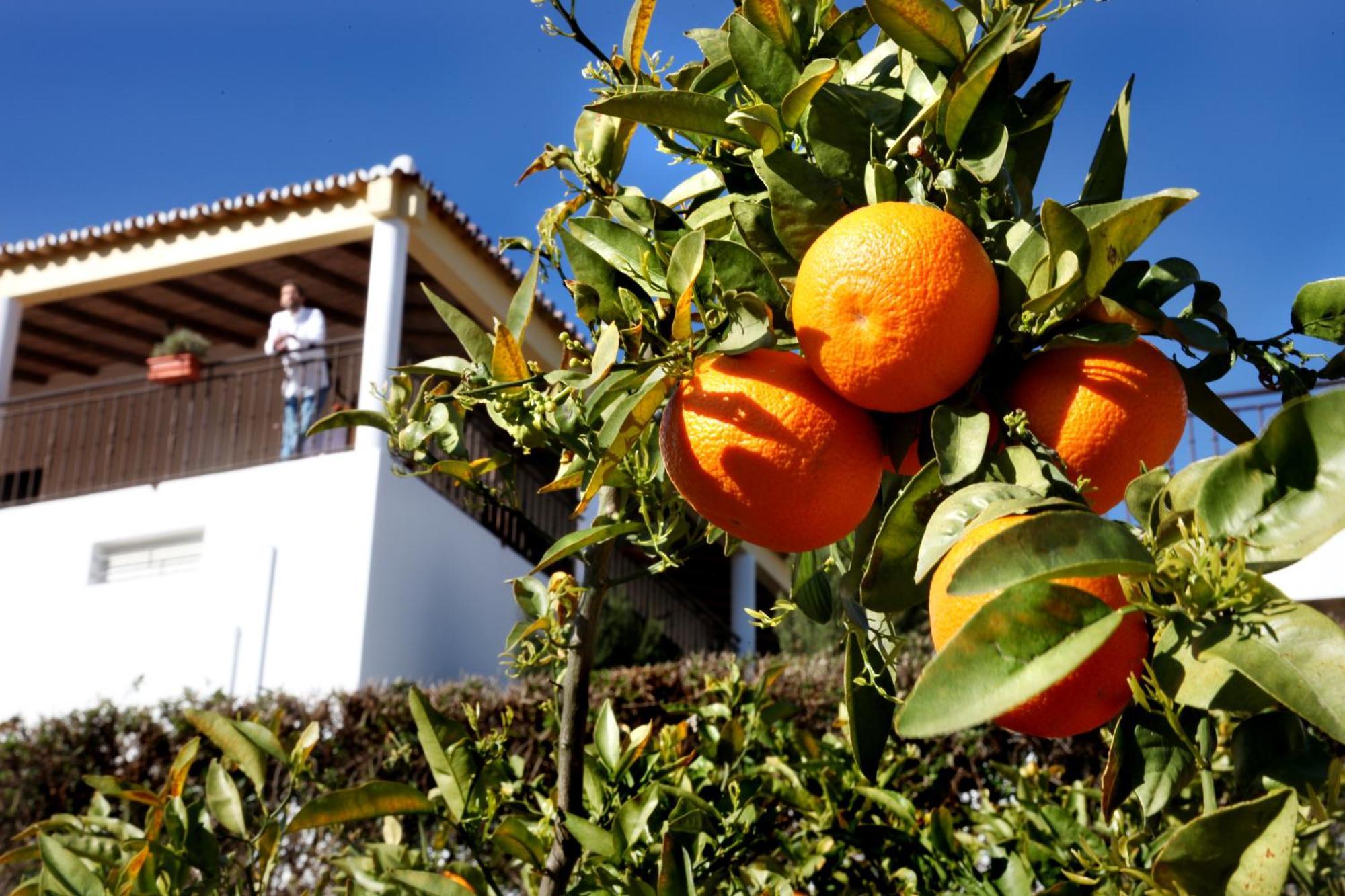 Herdade Da Corte Tavira Exterior photo